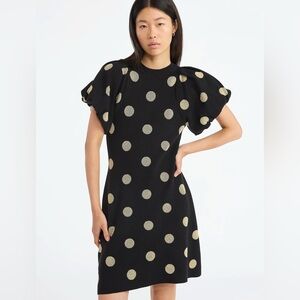 Polka Dot Sweater Dress from Scoop - NWT szS
